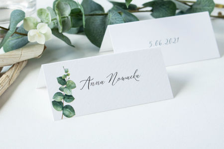 Winietka Eukaliptus 1